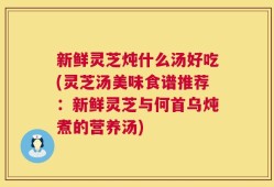 新鲜灵芝炖什么汤好吃(灵芝汤美味食谱推荐：新鲜灵芝与何首乌炖煮的营养汤)
