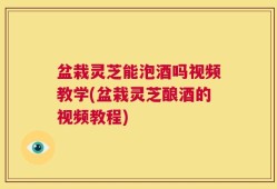 盆栽灵芝能泡酒吗视频教学(盆栽灵芝酿酒的视频教程)