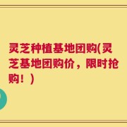 灵芝种植基地团购(灵芝基地团购价，限时抢购！)