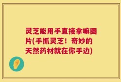 灵芝能用手直接拿嘛图片(手抓灵芝！奇妙的天然药材就在你手边)