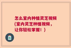 怎么室内种植灵芝视频(室内灵芝种植视频，让你轻松掌握！)