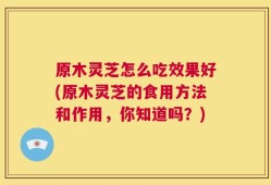 原木灵芝怎么吃效果好(原木灵芝的食用方法和作用，你知道吗？)