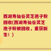 西湖寿仙谷灵芝孢子粉回收(西湖寿仙谷灵芝孢子粉被回收，重获新生！)