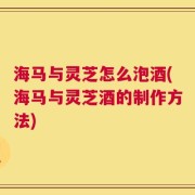 海马与灵芝怎么泡酒(海马与灵芝酒的制作方法)