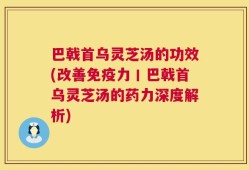 巴戟首乌灵芝汤的功效(改善免疫力丨巴戟首乌灵芝汤的药力深度解析)