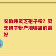 安徽纯灵芝孢子粉？灵芝孢子粉产地哪里的最好