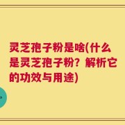 灵芝孢子粉是啥(什么是灵芝孢子粉？解析它的功效与用途)