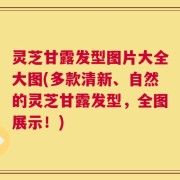 灵芝甘露发型图片大全大图(多款清新、自然的灵芝甘露发型，全图展示！)