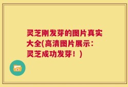 灵芝刚发芽的图片真实大全(高清图片展示：灵芝成功发芽！)