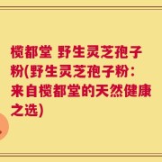 榄都堂 野生灵芝孢子粉(野生灵芝孢子粉：来自榄都堂的天然健康之选)