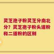 灵芝孢子粉灵芝分南北分？灵芝孢子粉头道粉和二道粉的区别