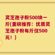 灵芝孢子粉500块一斤(重磅推荐：优质灵芝孢子粉每斤仅500元！)