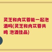 灵芝和肉苁蓉能一起泡酒吗(灵芝和肉苁蓉共鸣 泡酒佳品)