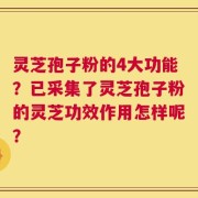 灵芝孢子粉的4大功能？已采集了灵芝孢子粉的灵芝功效作用怎样呢？
