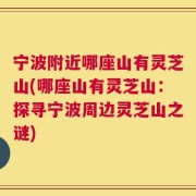 宁波附近哪座山有灵芝山(哪座山有灵芝山：探寻宁波周边灵芝山之谜)