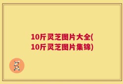 10斤灵芝图片大全(10斤灵芝图片集锦)