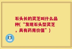 石头长的灵芝叫什么品种(“发现石头型灵芝，具有药用价值”)