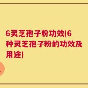 6灵芝孢子粉功效(6种灵芝孢子粉的功效及用途)