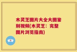 木灵芝图片大全大图鉴别视频(木灵芝：完整图片浏览指南)