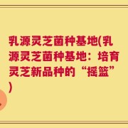乳源灵芝菌种基地(乳源灵芝菌种基地：培育灵芝新品种的“摇篮”)