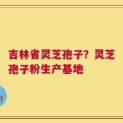 吉林省灵芝孢子？灵芝孢子粉生产基地