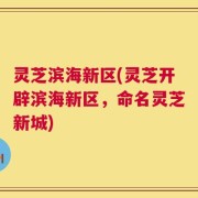 灵芝滨海新区(灵芝开辟滨海新区，命名灵芝新城)