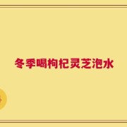 冬季喝枸杞灵芝泡水