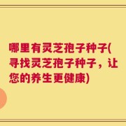 哪里有灵芝孢子种子(寻找灵芝孢子种子，让您的养生更健康)