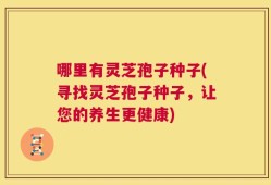 哪里有灵芝孢子种子(寻找灵芝孢子种子，让您的养生更健康)