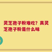 灵芝孢子粉难吃？真灵芝孢子粉是什么味