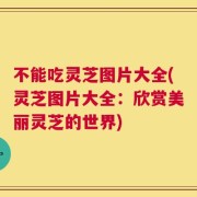 不能吃灵芝图片大全(灵芝图片大全：欣赏美丽灵芝的世界)