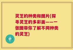 灵芝的种类和图片(探寻灵芝的多彩面——一张图带你了解不同种类的灵芝)