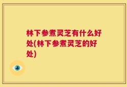 林下参煮灵芝有什么好处(林下参煮灵芝的好处)