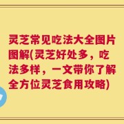 灵芝常见吃法大全图片图解(灵芝好处多，吃法多样，一文带你了解全方位灵芝食用攻略)