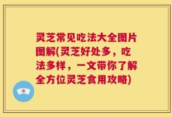 灵芝常见吃法大全图片图解(灵芝好处多，吃法多样，一文带你了解全方位灵芝食用攻略)
