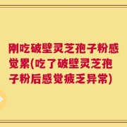 刚吃破壁灵芝孢子粉感觉累(吃了破壁灵芝孢子粉后感觉疲乏异常)