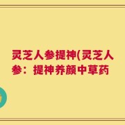 灵芝人参提神(灵芝人参：提神养颜中草药