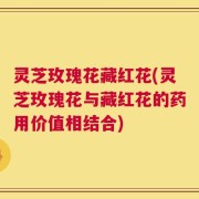 灵芝玫瑰花藏红花(灵芝玫瑰花与藏红花的药用价值相结合)