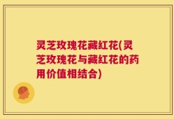 灵芝玫瑰花藏红花(灵芝玫瑰花与藏红花的药用价值相结合)