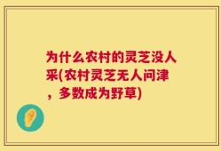 为什么农村的灵芝没人采(农村灵芝无人问津，多数成为野草)