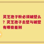 灵芝孢子粉必须破壁么？灵芝孢子去壁与破壁有哪些差别