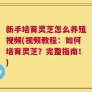 新手培育灵芝怎么养殖视频(视频教程：如何培育灵芝？完整指南！)