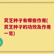 灵芝种子有哪些作用(灵芝种子的功效及作用一览)