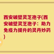 西安破壁灵芝孢子(西安破壁灵芝孢子：助力免疫力提升的灵丹妙药)