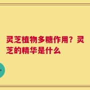 灵芝植物多糖作用？灵芝的精华是什么