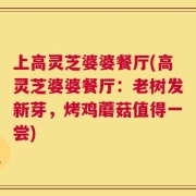 上高灵芝婆婆餐厅(高灵芝婆婆餐厅：老树发新芽，烤鸡蘑菇值得一尝)