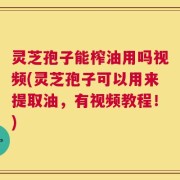 灵芝孢子能榨油用吗视频(灵芝孢子可以用来提取油，有视频教程！)