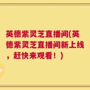 英德紫灵芝直播间(英德紫灵芝直播间新上线，赶快来观看！)