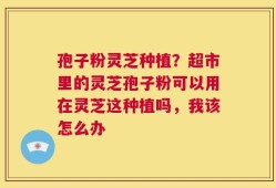 孢子粉灵芝种植？超市里的灵芝孢子粉可以用在灵芝这种植吗，我该怎么办