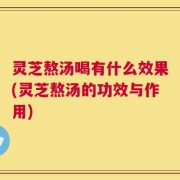 灵芝熬汤喝有什么效果(灵芝熬汤的功效与作用)